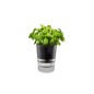 GEFU BOTANICO Smart plantepotte Sort Transparent